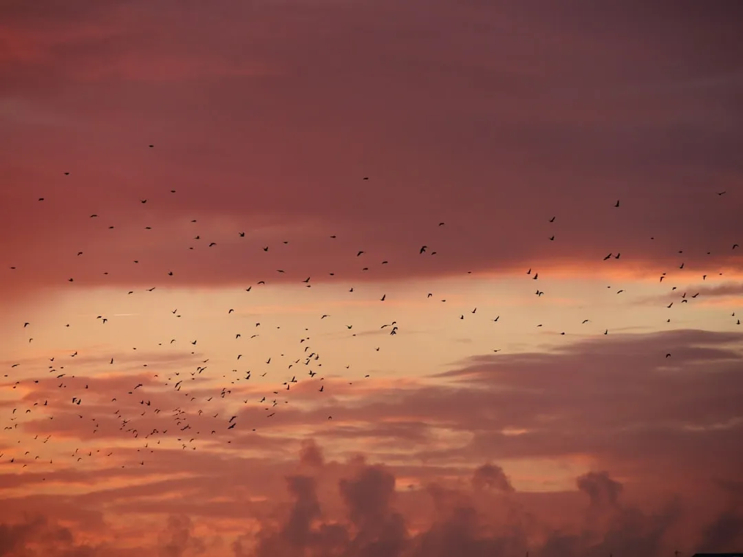 Exploring Swarm Strategy: Harnessing Collective Intelligence for Business Success